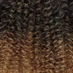 Mèches 3X French Curl Braid 22'' - Dream Hair Braids -Evolve Cosmetiques Couleur OUTRE 2T1B 2730 ef139e6b a79c 4444 bee2 f67589235788