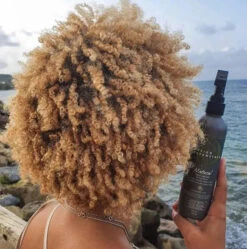 Twist And Set Setting Lotion Coiffante - Design Essentials 7 Twist And Set Setting Lotion Coiffante - Design Essentials -Evolve Cosmetiques Twist Set Setting Lotion Design Essentials Natural