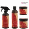 Routine Cheveux Secs - AS I AM JBCO -Evolve Cosmetiques as i am JBCO routine 4 soins cheveux secs