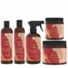 AS I AM JBCO Pack Pour Cheveux Crépus Abimés -Evolve Cosmetiques as i am jbco pack pour cheveux crepus abimes pjbcofro 335917