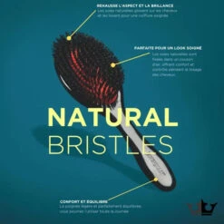 Brosse Pneumatique Poils De Sanglier D82S - Denman -Evolve Cosmetiques brosse denman pneumatique sanglier D82S Boar Brush
