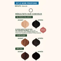 Coloration Végétale Noir Profond N°1.0 - Emblica -Evolve Cosmetiques emblica coloration vegetale cheveux bio noir profond cheveux blanc