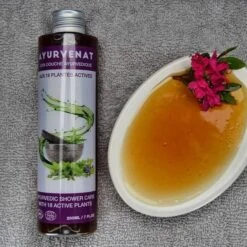 Gel Douche BIO Ayurvédique - Ayurvenat -Evolve Cosmetiques gel douche ayurvedique bio aux 18 plantes ayurvenat ol2846 360921