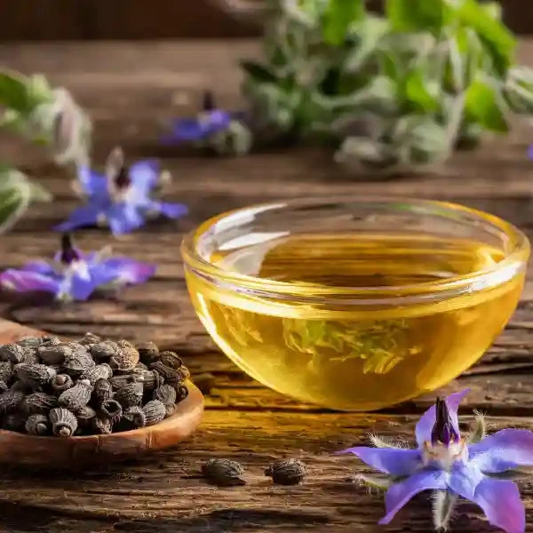 Huile De Bourrache BIO - WAAM 5 Huile De Bourrache BIO - WAAM – Image 3