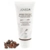 Masque Purifiant Au Clou De Girofle - Joveda -Evolve Cosmetiques masque purifiant au clou de girofle joveda j5055 783060