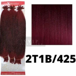 Mèches X-Pression Springy Afro Twist 12" 2x Outré -Evolve Cosmetiques meches crochets braids passion twist ombre burgundy 2t1b 425 springy afro twist outre