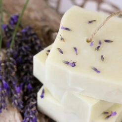 Savon Shampoing Solide BIO Simply Calm - Raw Roots -Evolve Cosmetiques savon corps cheveux solide lavande raw roots