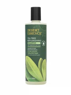 Shampoing Régénérateur Au Tea Tree - Desert Essence
